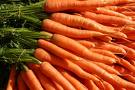 carrotimages